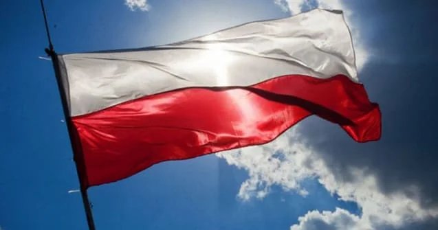 Polşa milli anti dron sistemi qurur