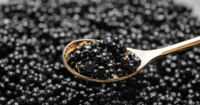 В Японии научились менять пол осетровых и получать больше икры