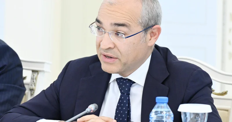 Mikayıl Cabbarov: Hazırda ölkədə iqtisadiyyatın şaxələndirilməsinə yönəlmiş fəaliyyət davam edir