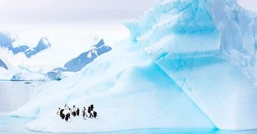 Antarktida sularının altında sirli bir parıltı müşahidə edildi...