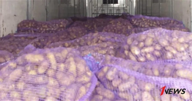 В партии картофеля, импортированной из Грузии, выявлено несоответствие ФОТО