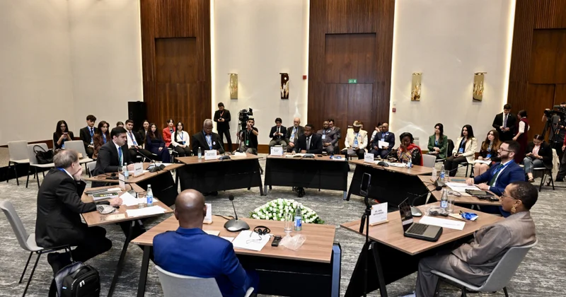 Bakı kolonializmə qarşı Afrika ölkələri Azərbaycanın dəstəyini hiss edir