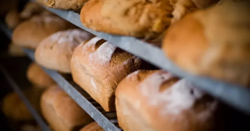Антисанитария в хлебопекарне в Баку: ФОТО