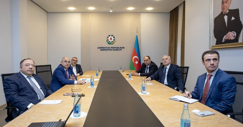 Азербайджан будет сотрудничать с турецкой компанией в сфере зеленой энергетики