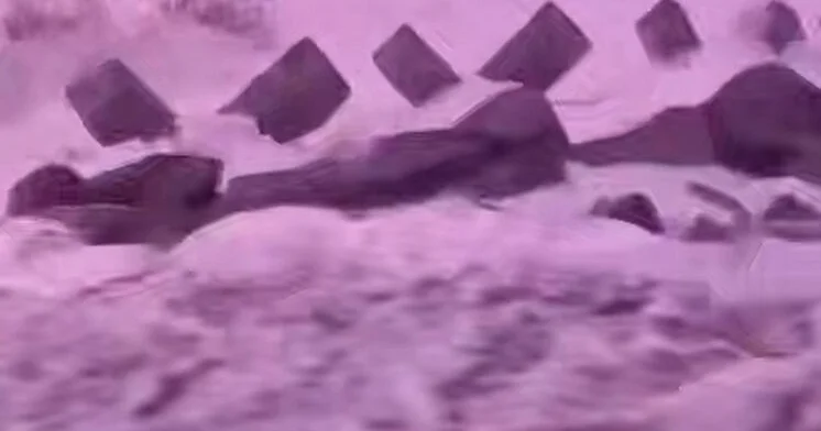 Сильная волна едва не смыла автомобиль с людьми на Камчатке ВИДЕО