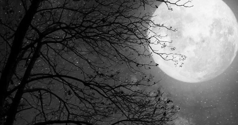 Ay Yerə daha yaxın məsafədə olacaq