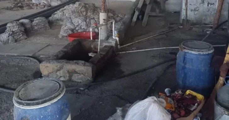 Антисанитария и нарушения: что обнаружили на предприятии Azerpetfood в Гяндже