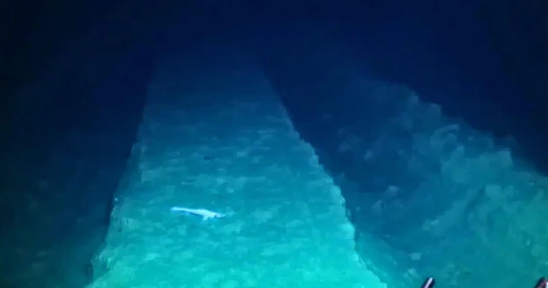 1979 cu ildəki dəniz sınağı okeanın dibini yaralayıb Alimlər 44 ildən sonra şoka düşdü