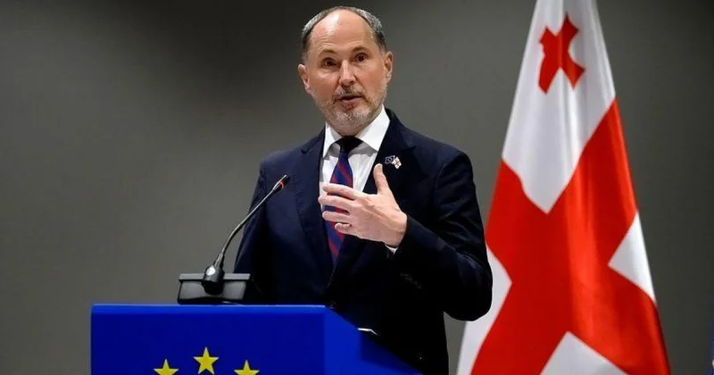 В ЕС заявили, что Грузия пока не готова к вступлению в союз