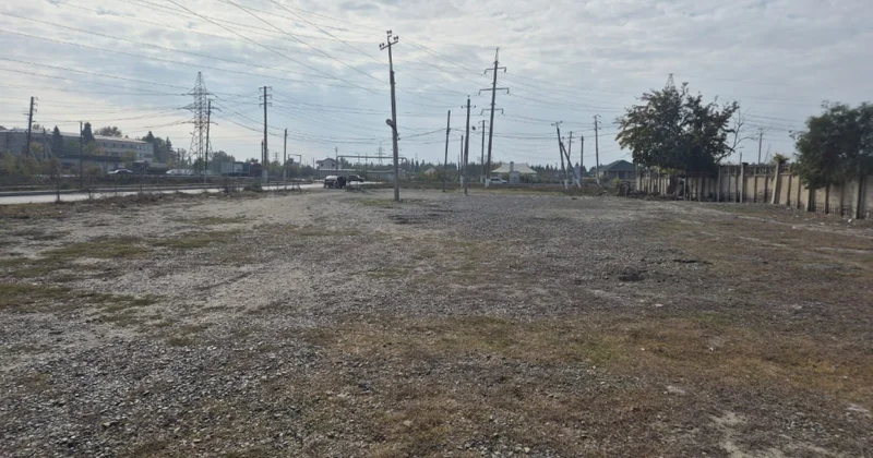 AQTA heyvan bazarlarında monitorinqlər aparır