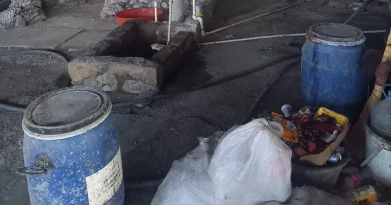 Gəncədə heyvan mənşəli məhsulların emalı müəssisəsinin qanunsuz fəaliyyət göstərdiyi aşkarlanıb