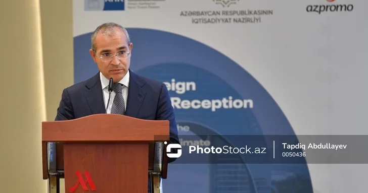 Министр экономики Азербайджана раскрыл финансовый успех SOCAR