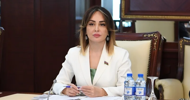 Kiber hücumlarla mübarizə strateji hədəflər sırasındadır