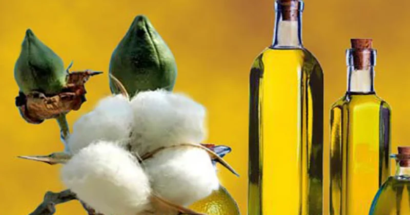 Azərbaycan dünyada xam pambıq yağı ixracatçıları arasında 3 cü olub