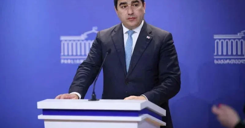Gürcüstan parlamentinin sədri: Ölkəni Aİ yə üzvlük üçün hazırlamağa davam edəcəyik