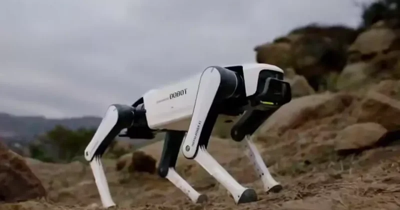 В Китае стартовали продажи домашних робопсов Rover X1