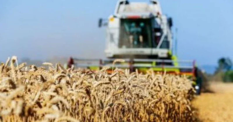 Papoyan açıqladı: Qazaxıstandan Azərbaycan vasitəsilə taxıl tədarük edilir