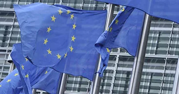 Будущее расширения ЕС: вызовы реформ и геополитические реалии