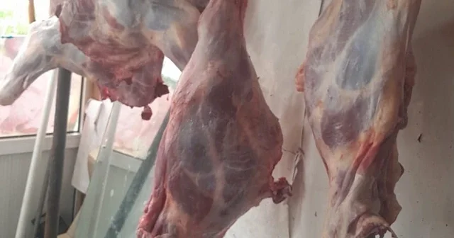 В Азербайджане проведены проверки в пунктах забоя животных: выявлены нарушения