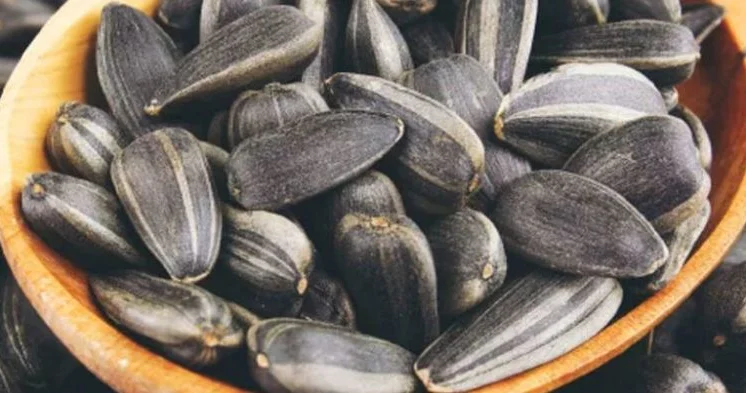 Bir dəfəyə nə qədər günəbaxan tumu çırtlamaq lazımdır?