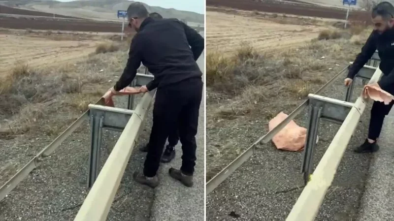 Yol kənarına qoyulan torbanı açan vətəndaşlar dəhşətli mənzərə ilə qarşılaşdı