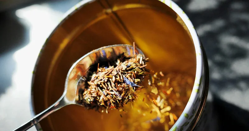 Чем полезен южноамериканский напиток Йерба Мате