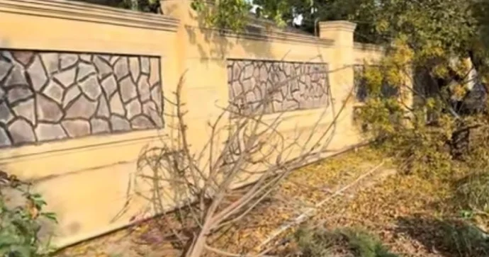 Cəlilabadda avtomobil qəza törətdi 4 ağac yerindən çıxdı FOTO