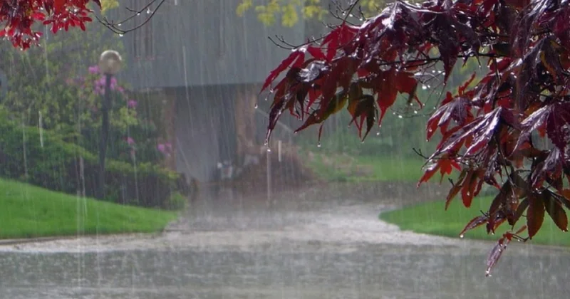 Sabah leysan gözlənilir