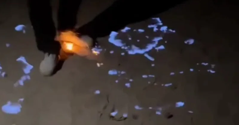 Пылающий холм Харипура: техногенная авария, ставшая легендой