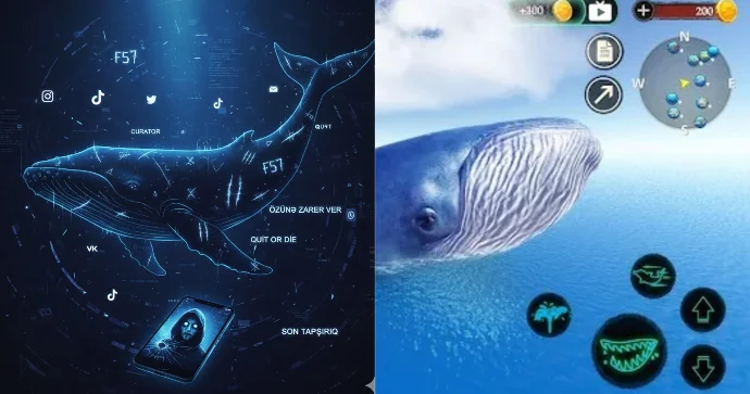 Gəncləri və yeniyetmələri ölümə sürükləyən Mavi Balina ilə bağlı ŞOK AÇIQLAMA