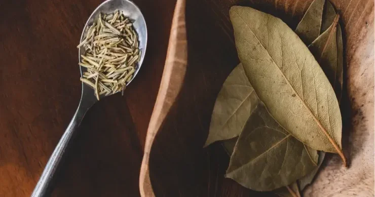 Dekabrda dörd tarixdə dəfnə yarpağı yandırın: həyatınızın necə dəyişdiyini görün