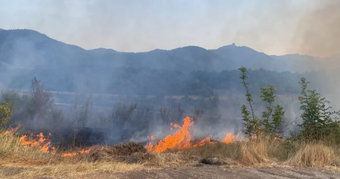 Bərdədə tullantıların yandırılmasına görə direktor cərimələnib