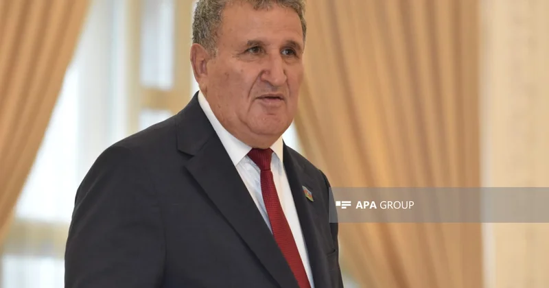 İsa Həbibbəyli: Ramiz Mehdiyevin həqiqi üzvlük məsələsinə baxılacaq