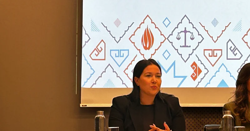 “Könüllülük gənclərə əməyə sevgi və məsuliyyət aşılayır” Ülviyyə Axundova