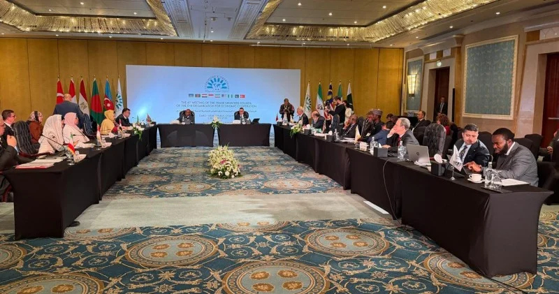 D 8 ölkələri ticarətlə bağlı Qahirə Bəyannaməsini qəbul edib