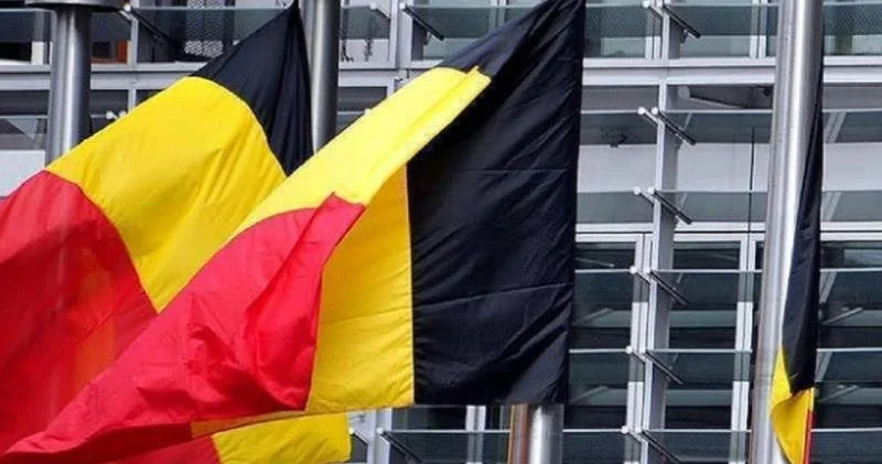 Belçika Əsəd rejimi dövründə hərbi cinayətlərlə bağlı 19 araşdırma aparır