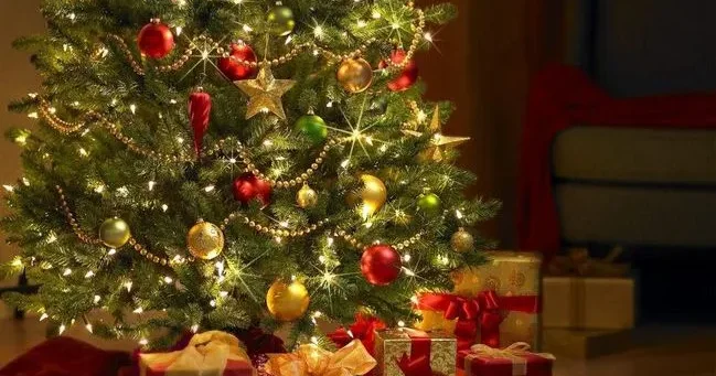 İl sonuna yaxın niyə özümüzü yorğun hiss edirik? Psixoloq DANIŞDI