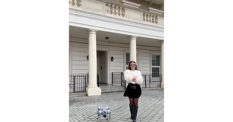 Азербайджанская блогерша "прогулялась" с робопсом по городу ВИДЕО