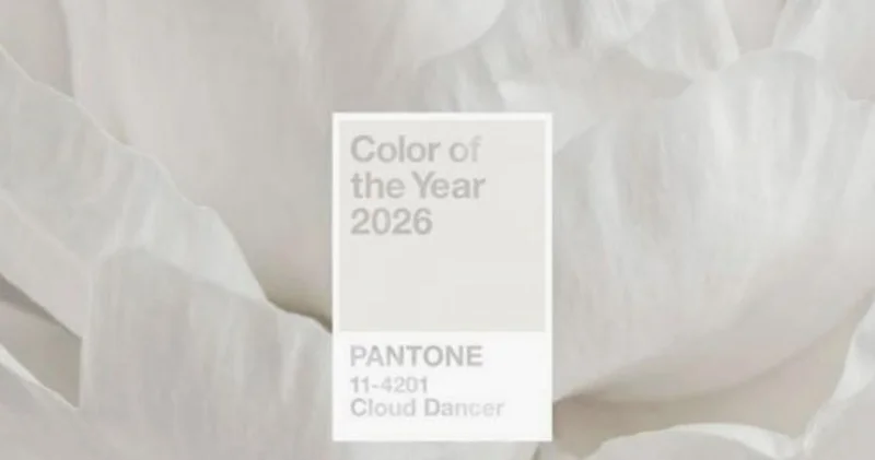“Pantone” 2026 cı ilin rəngini açıqladı