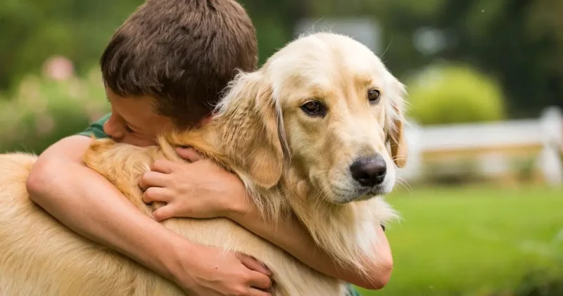 Elm itlərə olan sevgimizi necə izah edir?