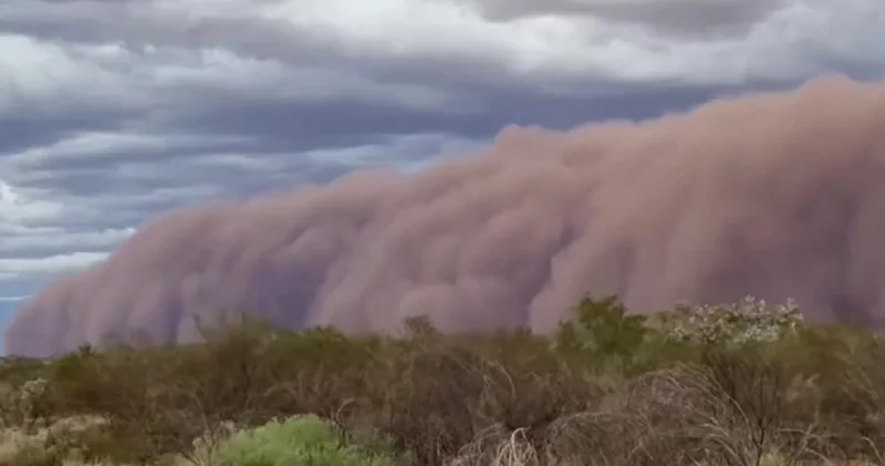 Avstraliyada qızıl mədənini qum fırtınası cənginə aldı ANBAAN VİDEO