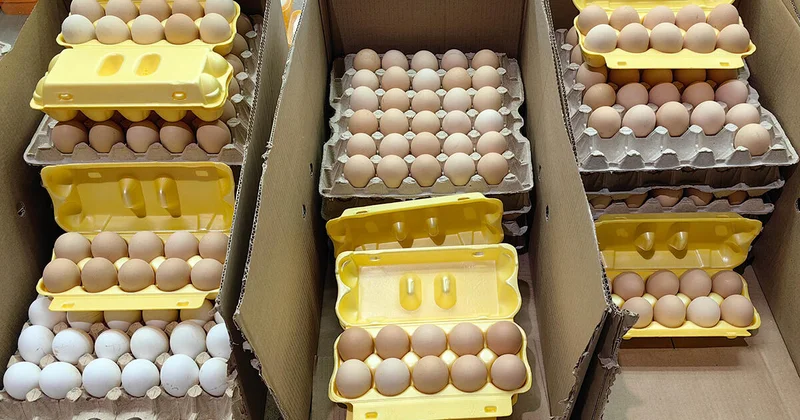 Чем полезны яйца и как их выбрать