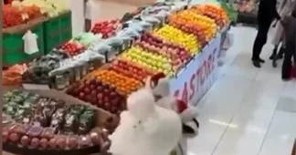 В Баку два Деда Мороза устроили потасовку в супермаркете ВИДЕО