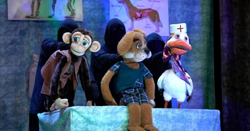 Uşaqların sevimli “Aybolit”i gəlir FOTOlar