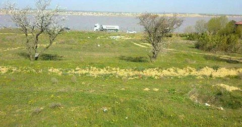 Torpağa görə əmisi oğlunu bıçaqladı təfərrüat