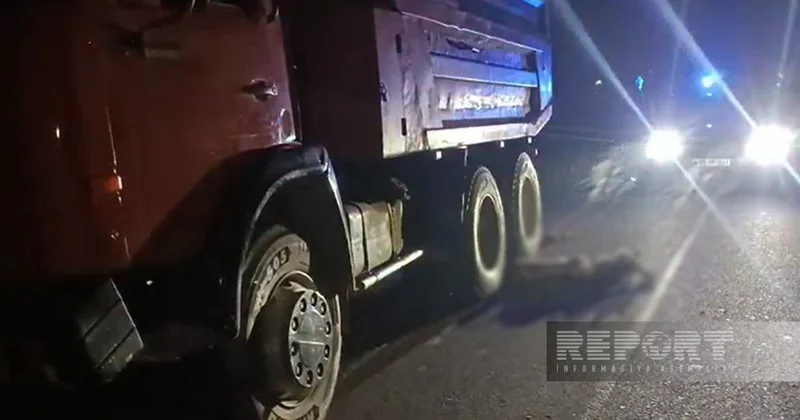 Salyanda avtomobil xırdabuynuzlu heyvanları vuraraq tələf edib