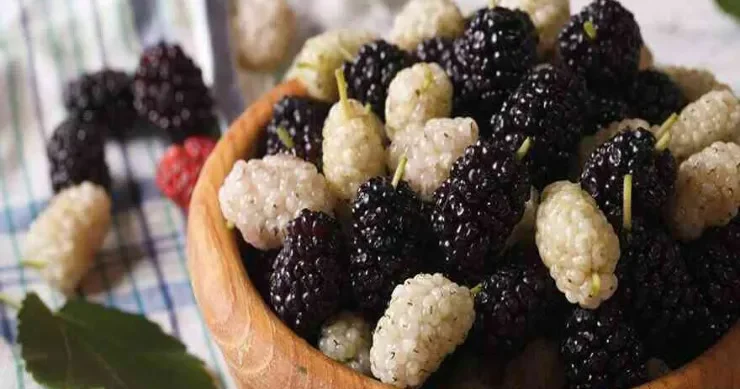 Yuxuda tut görmək nə deməkdir?