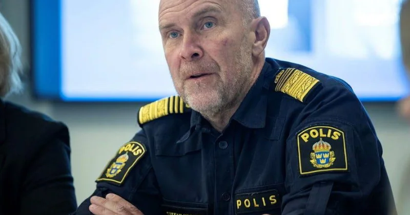 Полиция Швеции: ежегодно тысячи женщин подвергаются насилию