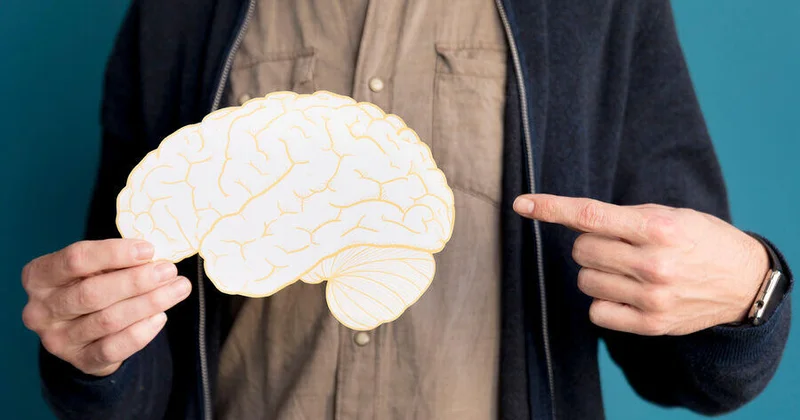 Назван простой способ замедлить старение мозга