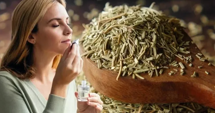 Zehni açan 3 qoxu: Kafeinsiz enerji və diqqət artırmağın təbii yolu